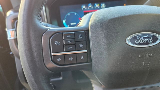 2024 Ford Super Duty F-250 SRW Lariat Ultimate Sport FX4 - 22961428 - 18