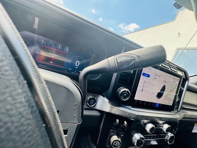2024 Ford Super Duty F-250 SRW Platinum - 23019976 - 10