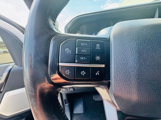2024 Ford Super Duty F-250 SRW Platinum - 23019976 - 13