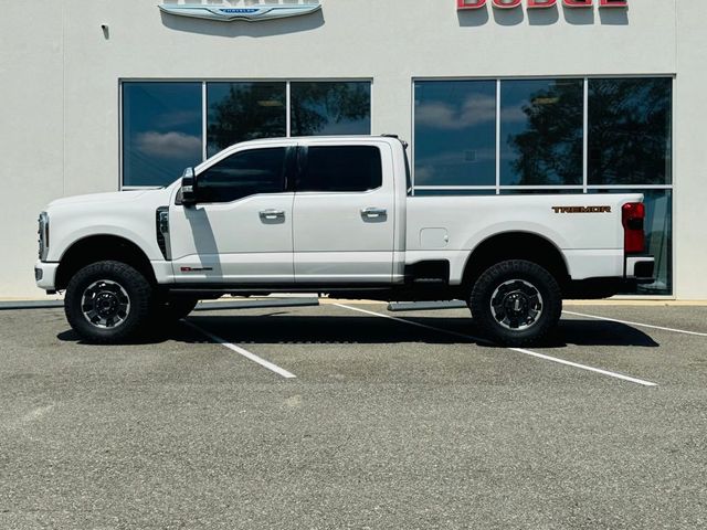 2024 Ford Super Duty F-250 SRW Platinum - 23019976 - 29