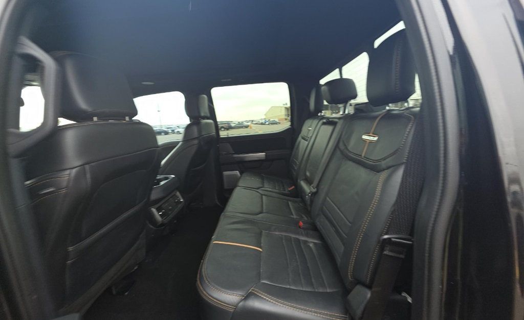 2024 Ford Super Duty F-250 SRW Platinum - 22978408 - 11