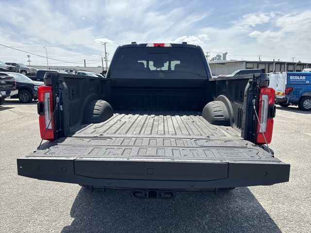 2024 Ford Super Duty F-250 SRW Platinum - 22807508 - 15