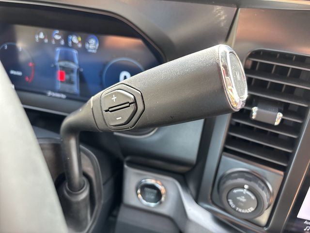 2024 Ford Super Duty F-250 SRW Platinum - 22807508 - 25