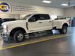 2024 Ford Super Duty F-350 DRW XLT 4WD Crew Cab 8' Box - 22974932 - 1
