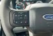2024 Ford Super Duty F-350 DRW Cab-Chassis SUPER DUTY - 22989970 - 19