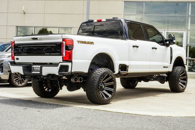 2024 Ford Super Duty F-350 SRW Platinum - 23059771 - 9