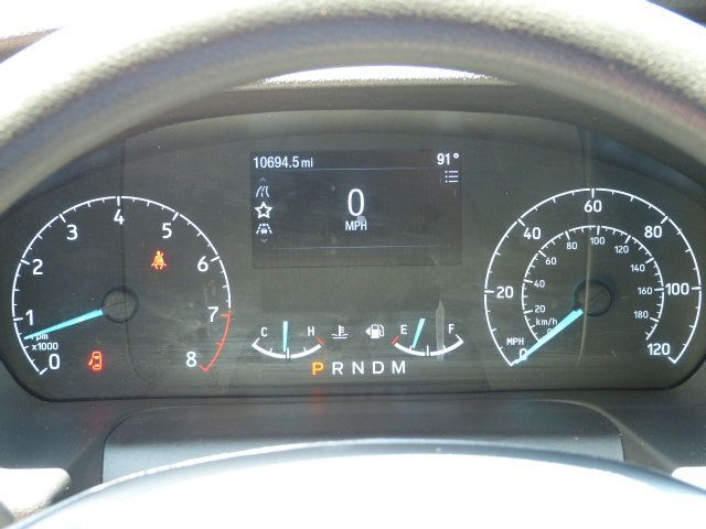 2024 Ford Transit Cargo Van 3.5L V6 GAS*T-250 LOW ROOF 130" WB*"HOLMAN" UPFIT PACKAGE! - 23037435 - 31