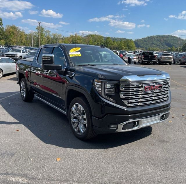 2024 GMC Sierra 1500 Denali - 22923752 - 20