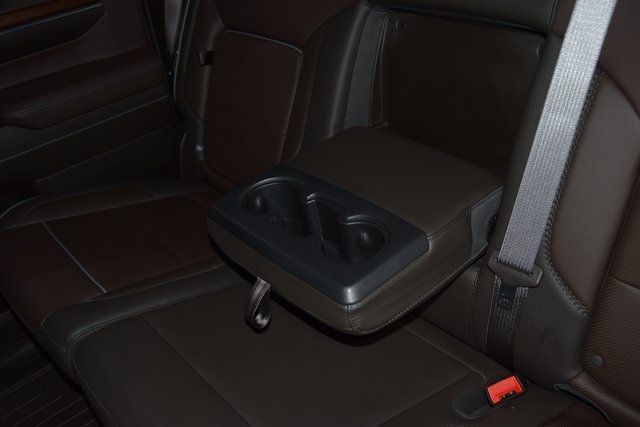 2024 GMC Sierra 1500 Denali - 22948955 - 44