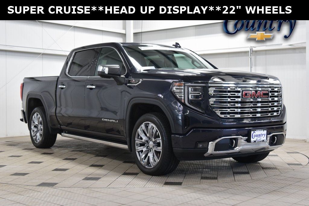 2024 GMC Sierra 1500 Denali - 22981959 - 0