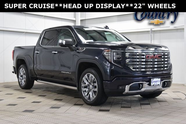 2024 GMC Sierra 1500 Denali - 22981959 - 0