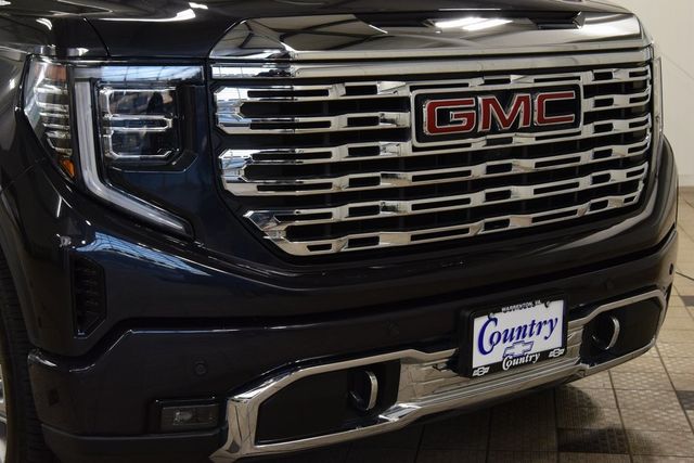 2024 GMC Sierra 1500 Denali - 22981959 - 12