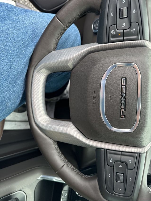 2024 GMC Sierra 1500 Denali - 22985307 - 20