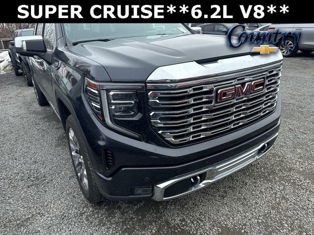 2024 GMC Sierra 1500 Denali - 22985680 - 0