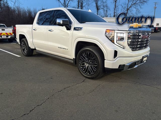 2024 GMC Sierra 1500 Denali - 22988959 - 0