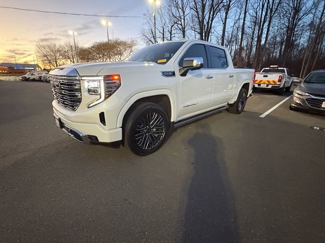 2024 GMC Sierra 1500 Denali - 22988959 - 24