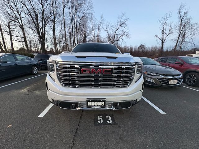 2024 GMC Sierra 1500 Denali - 22988959 - 4