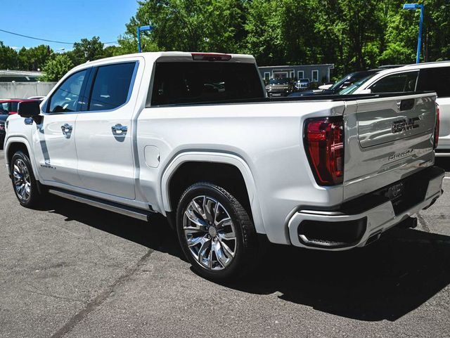 2024 GMC Sierra 1500 Denali - 23039019 - 5