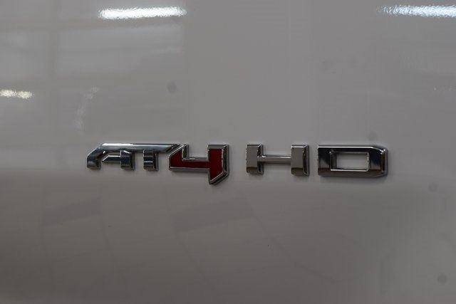 2024 GMC Sierra 2500HD AT4 - 22970804 - 20