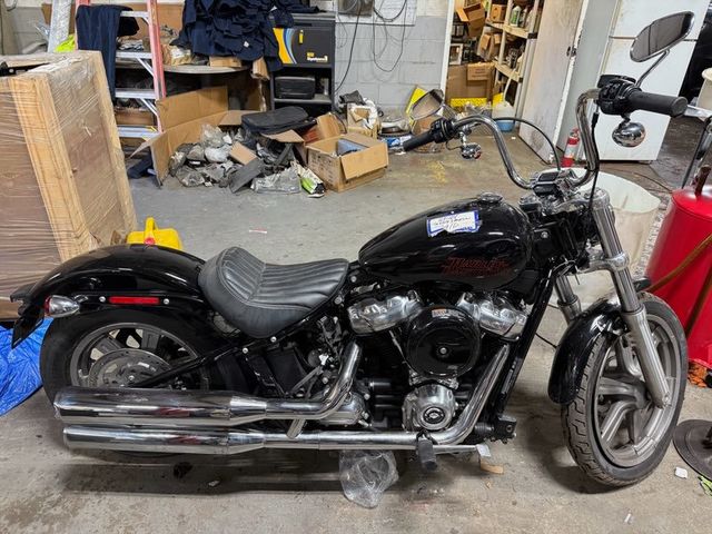 2024 Harley-Davidson FXST  - 22812512 - 1