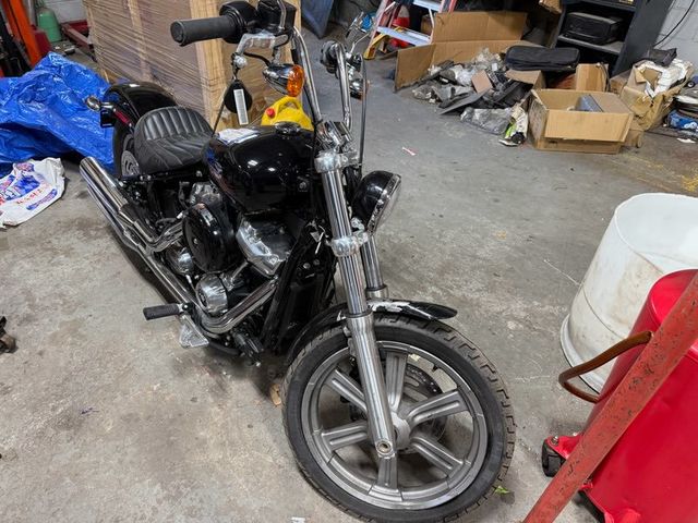 2024 Harley-Davidson FXST  - 22812512 - 2