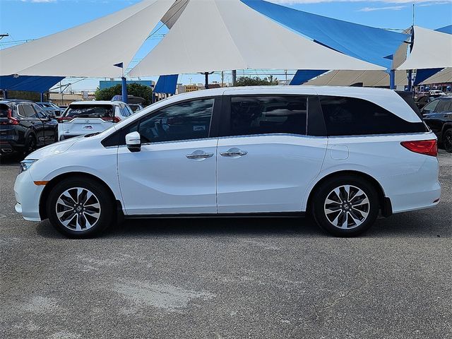 2024 Honda Odyssey EX-L Automatic - 22929673 - 1