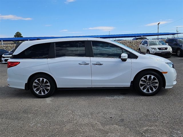 2024 Honda Odyssey EX-L Automatic - 22929673 - 4