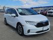 2024 Honda Odyssey EX-L Automatic - 22929673 - 5