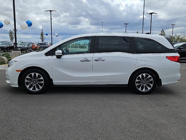 2024 Honda Odyssey EX-L Automatic - 23091102 - 4