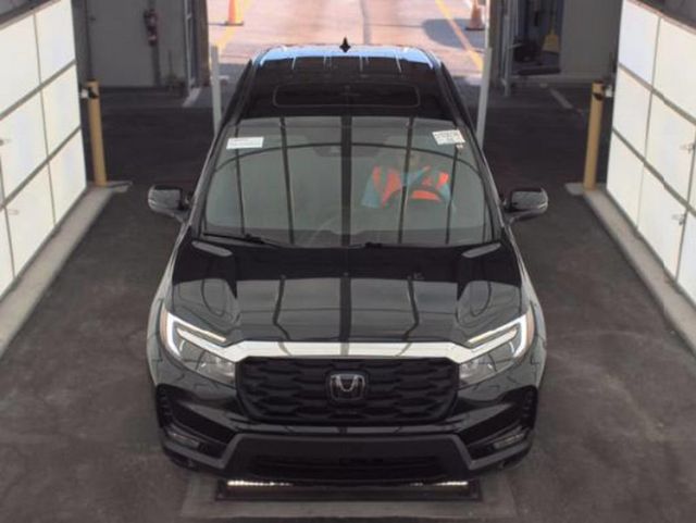 2024 Honda Passport EX-L AWD - 23097993 - 2
