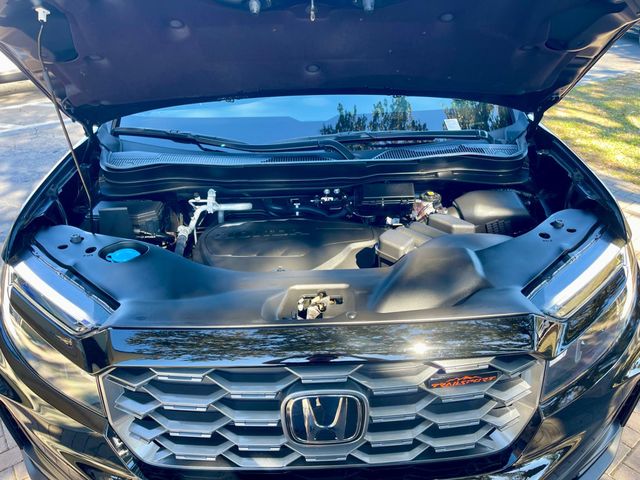 2024 HONDA PASSPORT TRAILSPORT - 22976999 - 17