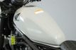 2024 Honda REBEL 500 ABS SE 1 Owner, 1675 Miles - 22912582 - 37