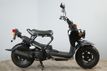 2024 Honda Ruckus In Stock Now! - 23012048 - 2