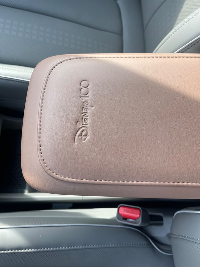 2024 Hyundai IONIQ 5 Disney100 Platinum Edition Dual Motor AWD - 22900147 - 13