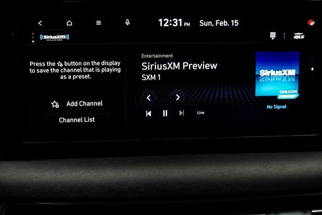 2024 Hyundai Palisade Calligraphy AWD - 22981964 - 22