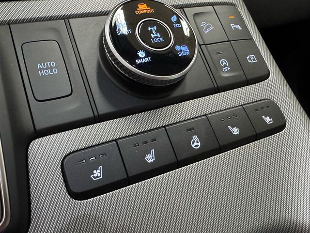 2024 Hyundai Palisade SEL Prem AWD - 23093953 - 20