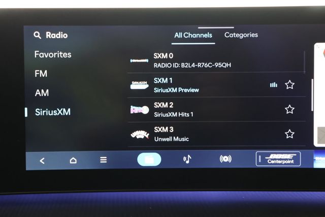 2024 Hyundai Santa Fe Calligraphy - 22872650 - 16