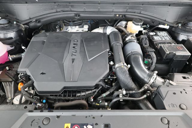 2024 Hyundai Santa Fe Calligraphy - 22872650 - 25
