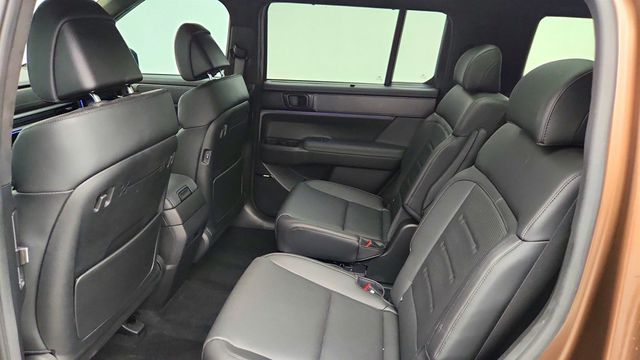 2024 Hyundai Santa Fe Calligraphy - 23019570 - 18