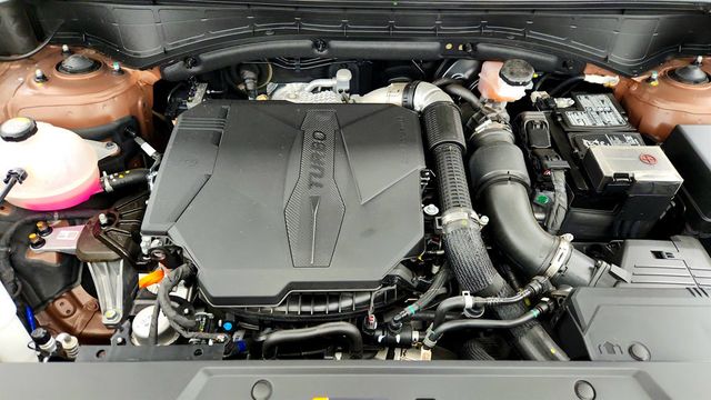 2024 Hyundai Santa Fe Calligraphy AWD - 22978319 - 24