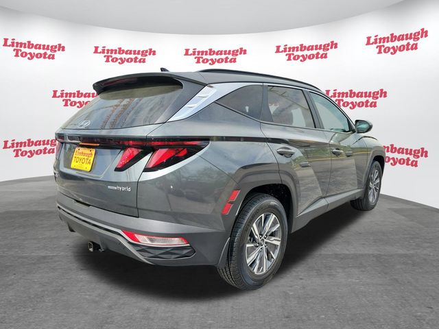 2024 Hyundai Tucson Hybrid Blue AWD - 22995396 - 22