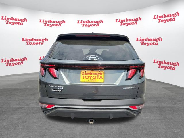 2024 Hyundai Tucson Hybrid Blue AWD - 22995396 - 23