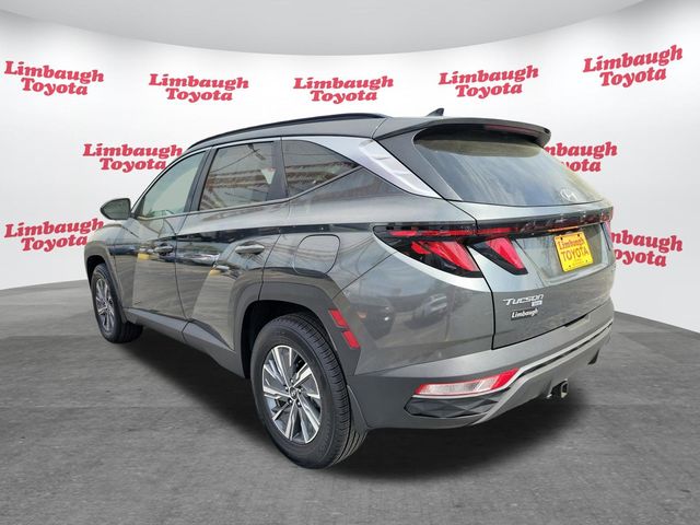 2024 Hyundai Tucson Hybrid Blue AWD - 22995396 - 24