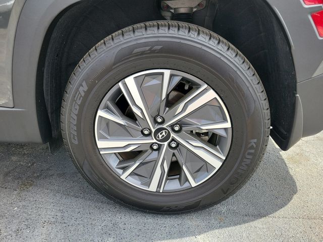 2024 Hyundai Tucson Hybrid Blue AWD - 22995396 - 25