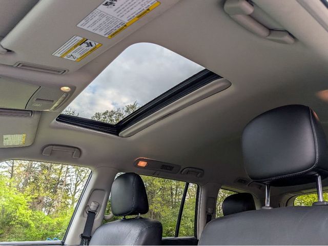 2024 INFINITI QX80 LUXE - 23014151 - 17