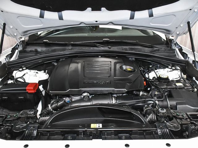 2024 Jaguar F-PACE P250 R-Dynamic S - 22977902 - 66