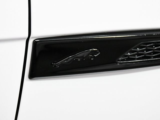 2024 Jaguar F-PACE P250 R-Dynamic S - 22977902 - 89