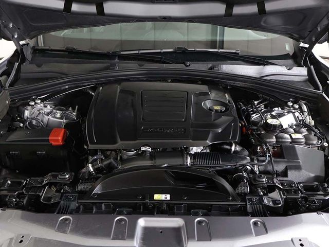 2024 Jaguar F-PACE P250 R-Dynamic S - 23059967 - 25