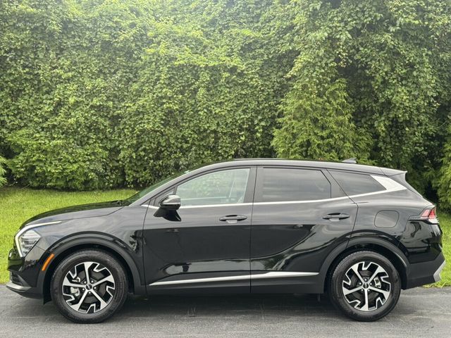2024 Kia Sportage EX FWD - 23063112 - 2