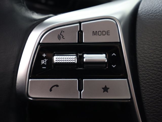 2024 Kia Telluride SX-Prestige X-Pro - 22919868 - 52